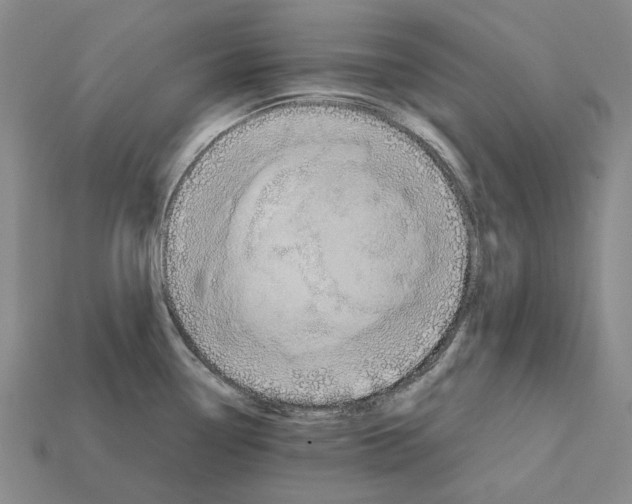 X0000112411338200909251448