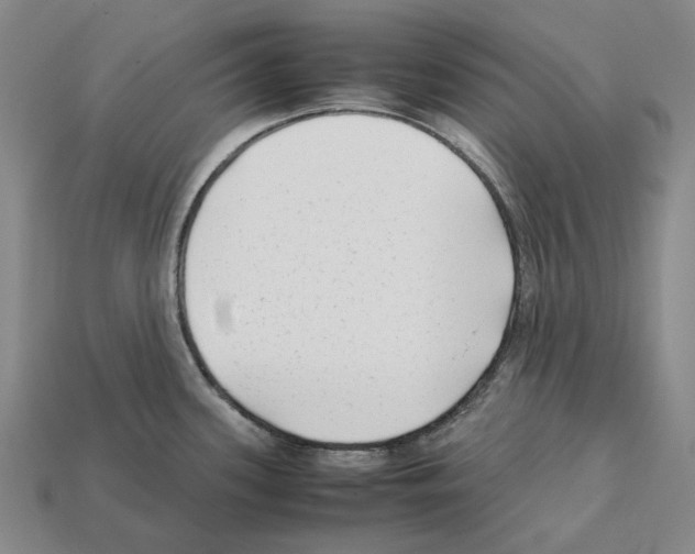 X0000112411339200909251448