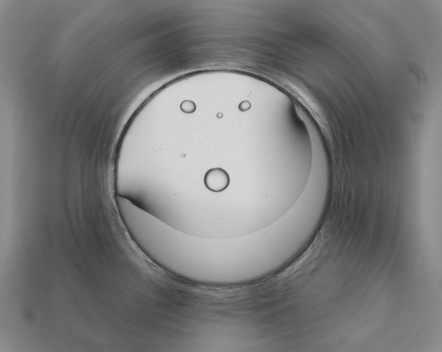 X0000112411340200909251448