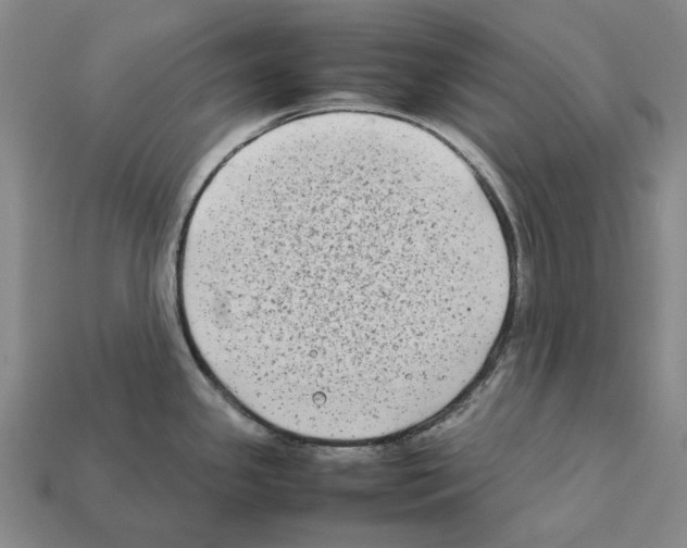 X0000112411341200909251448