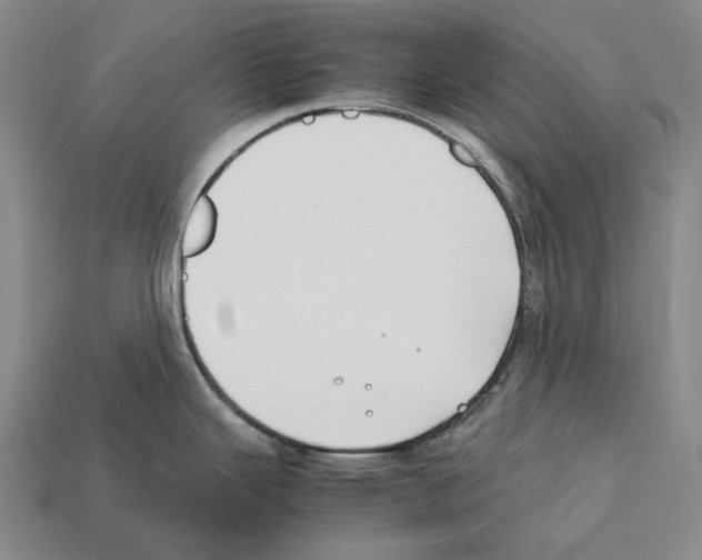 X0000112411343200909251448