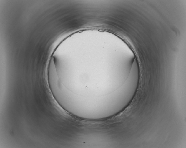X0000112411344200909251448