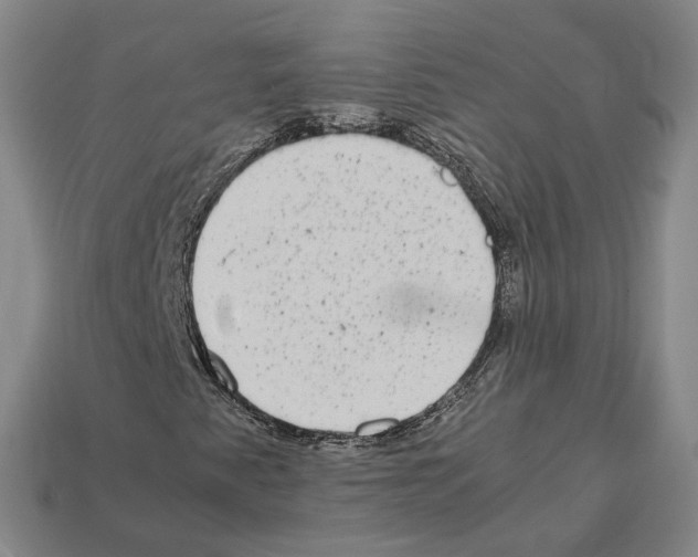 X0000112411345200909251447