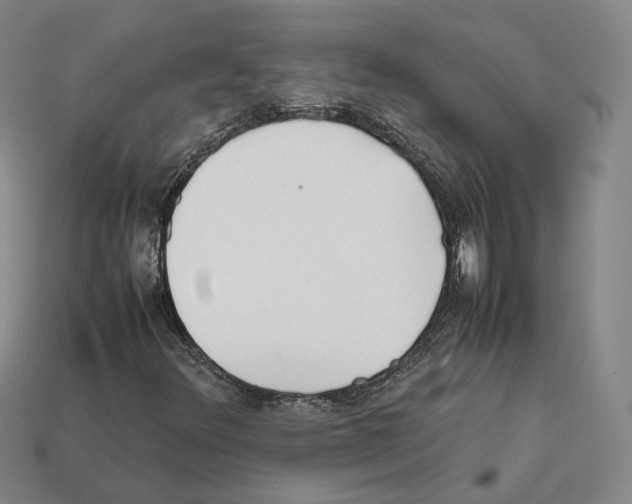 X0000112411348200909251447