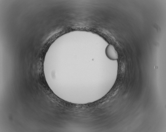 X0000112411350200909251447