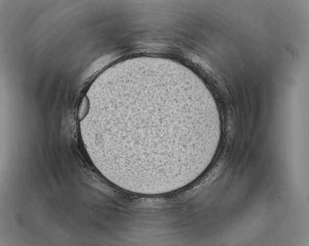 X0000112411354200909251447