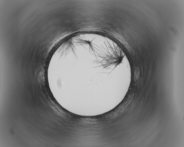 X0000112411356200909251447