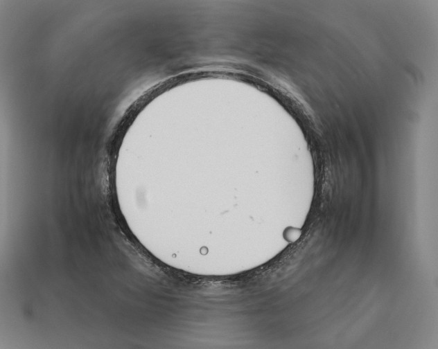 X0000112411360200909251447