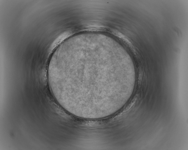 X0000112411362200909251447