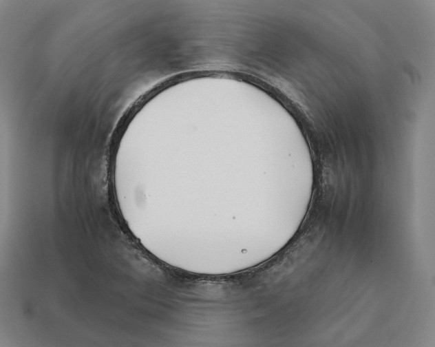 X0000112411364200909251447