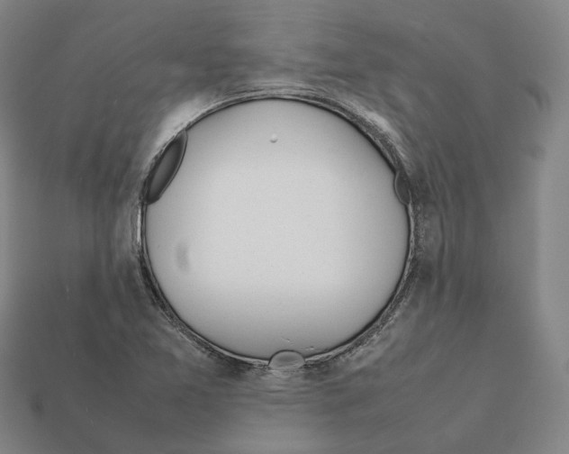 X0000112411365200909251447