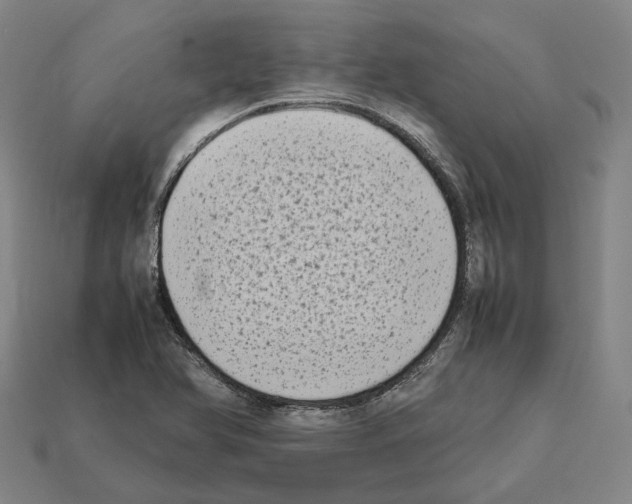 X0000112411366200909251447