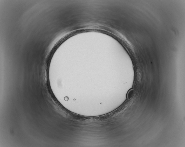 X0000112411368200909251447