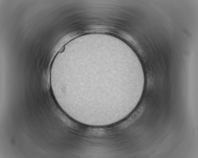 X0000112411370200909251447