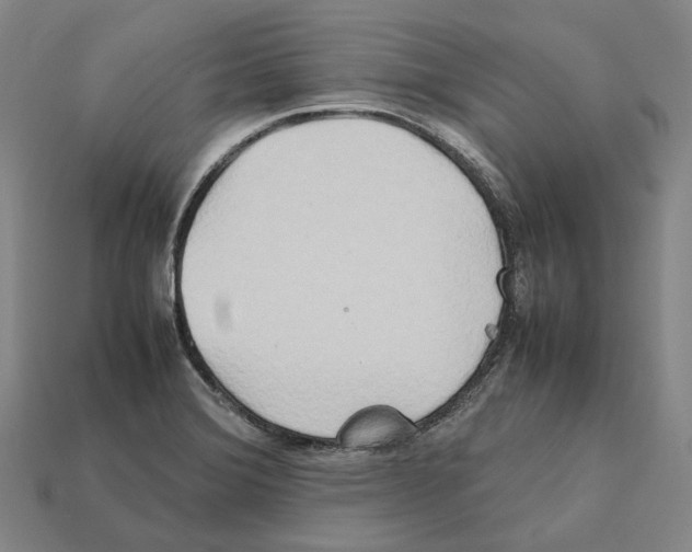 X0000112411372200909251447