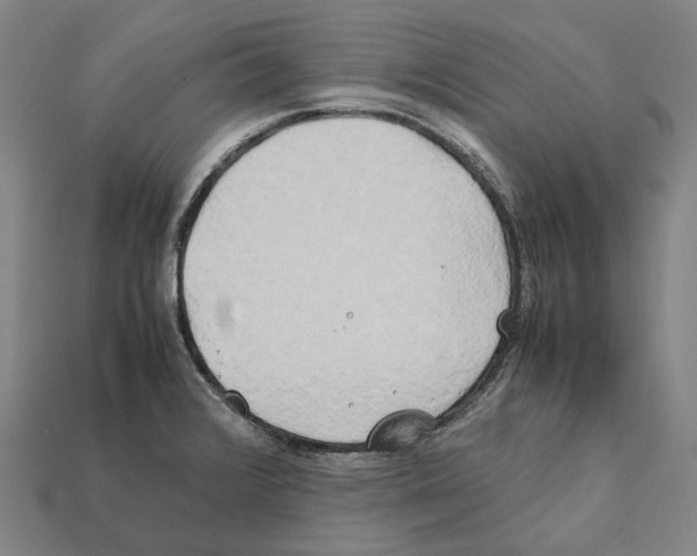 X0000112411376200909251447