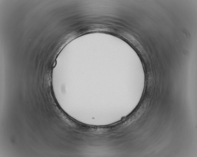 X0000112411377200909251447