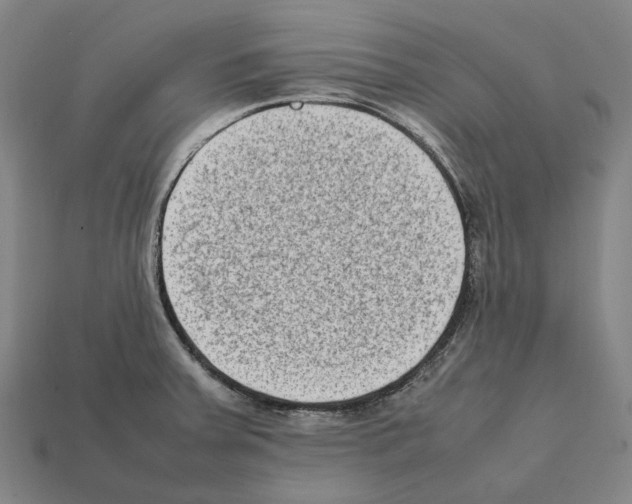 X0000112411379200909251447