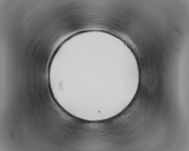 X0000112411380200909251447