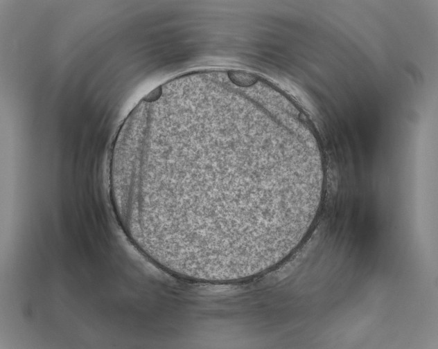 X0000112411382200909251447