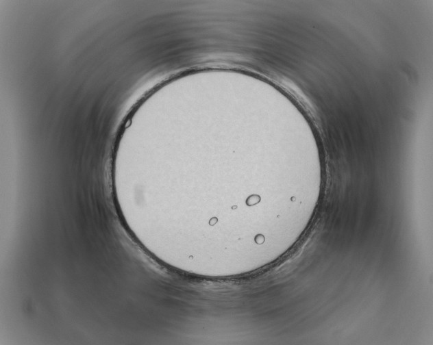 X0000112411384200909251447