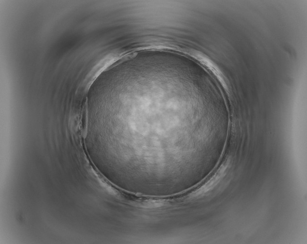X0000112411385200909251447