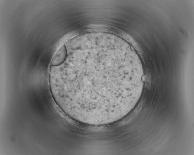 X0000112411386200909251447