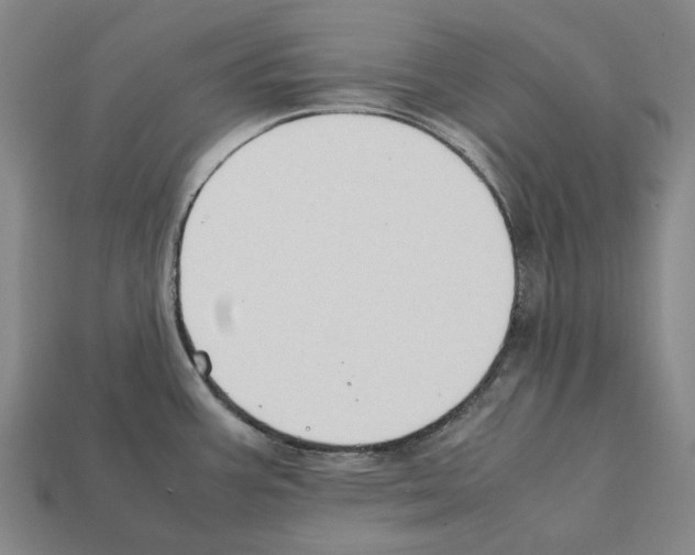 X0000112411387200909251447