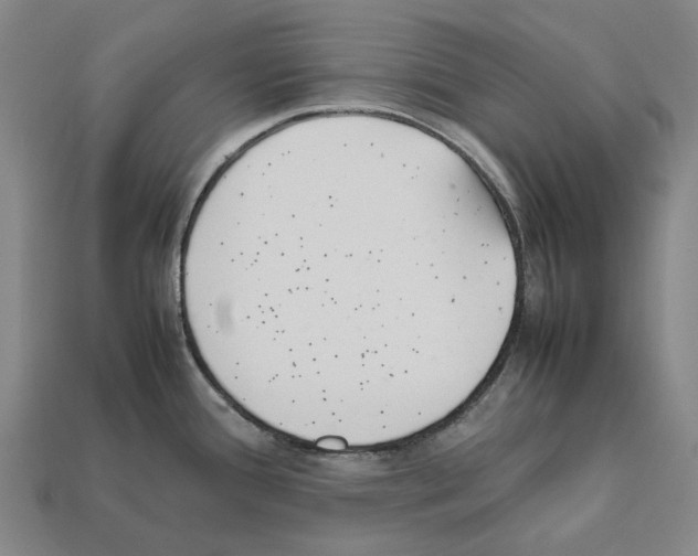X0000112411388200909251447