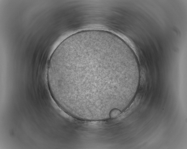 X0000112411390200909251447