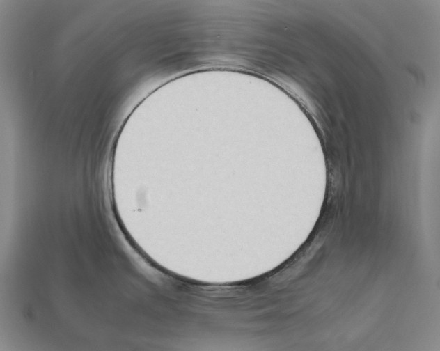 X0000112411391200909251447