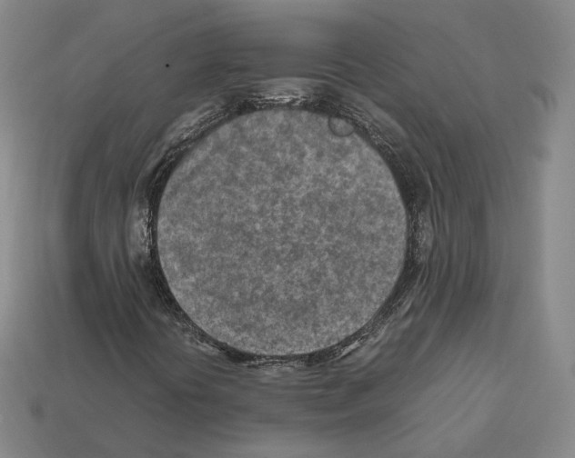 X0000112411394200909251446