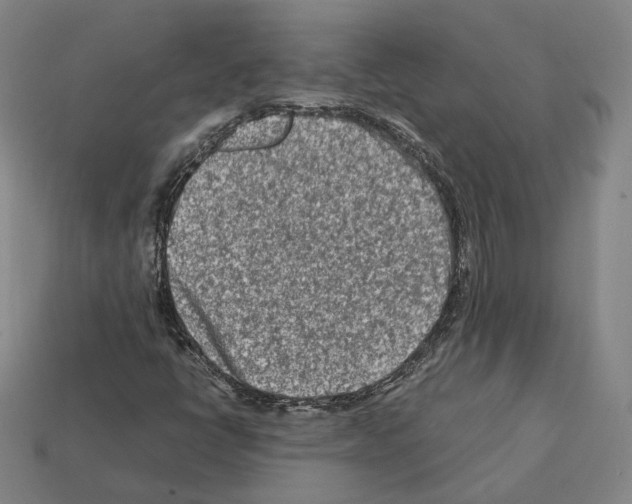 X0000112411398200909251446