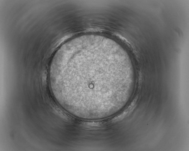 X0000112411401200909251446