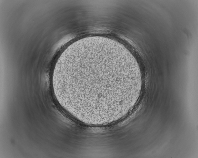 X0000112411402200909251446