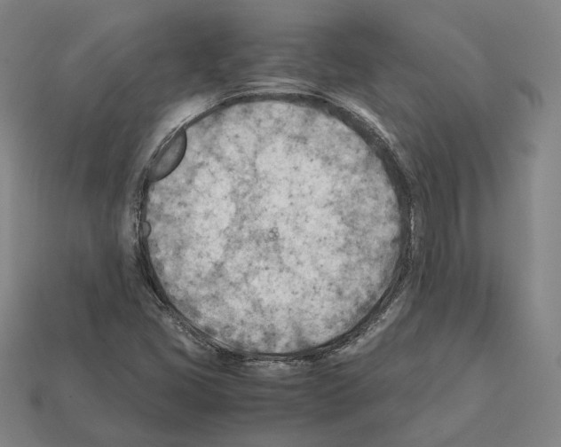 X0000112411405200909251446