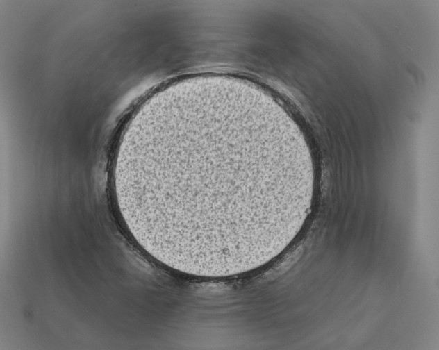 X0000112411406200909251446