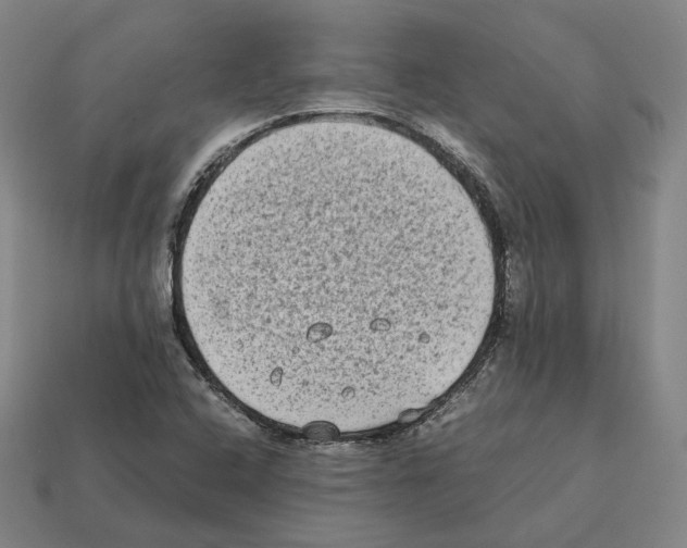 X0000112411408200909251446