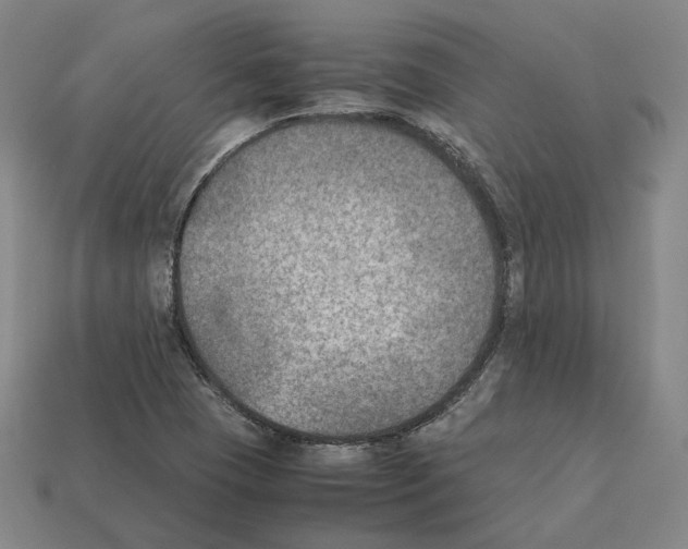X0000112411409200909251446
