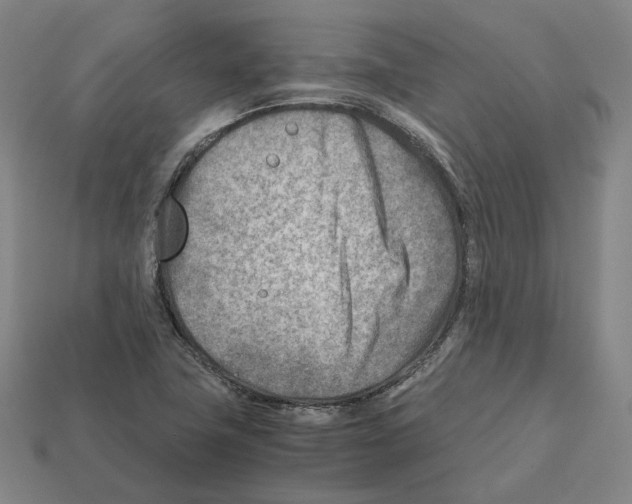 X0000112411411200909251446
