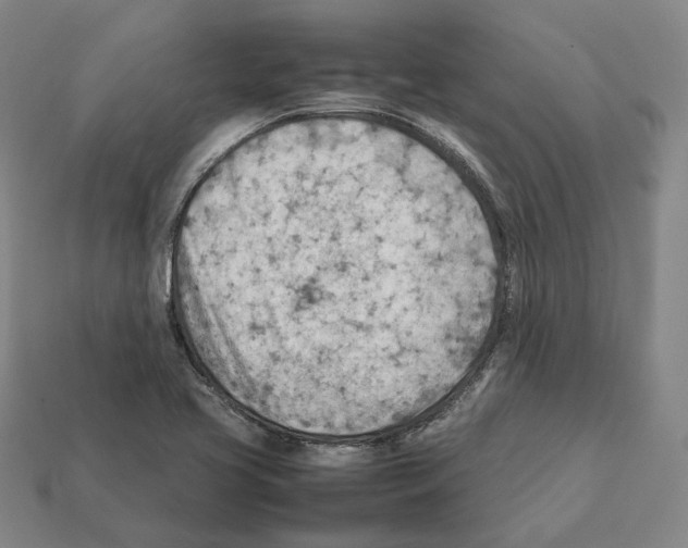 X0000112411413200909251446