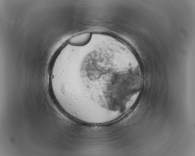 X0000112411414200909251446