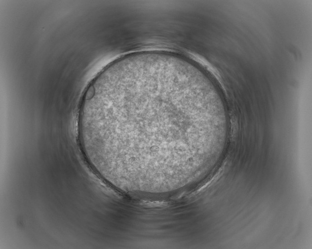 X0000112411415200909251446