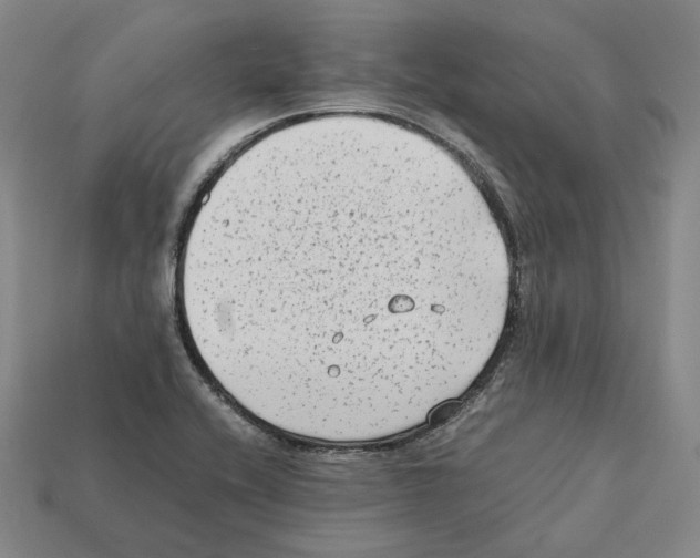 X0000112411416200909251446