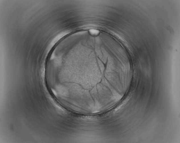 X0000112411418200909251447