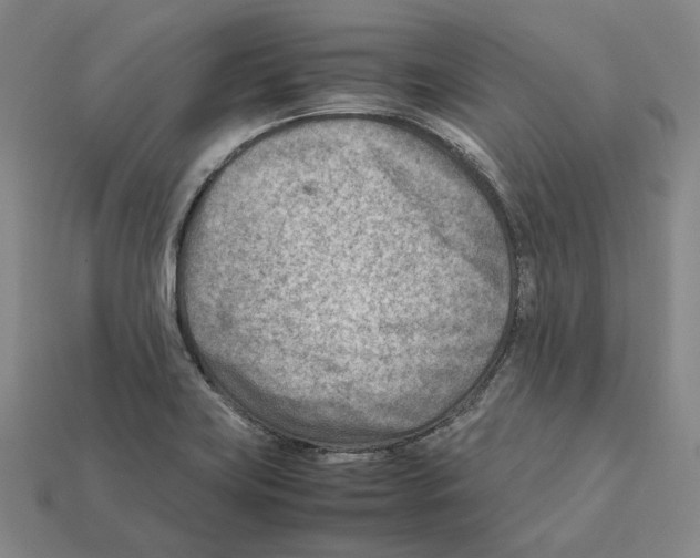 X0000112411419200909251447