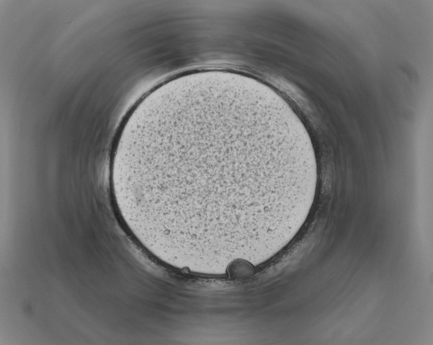 X0000112411420200909251447