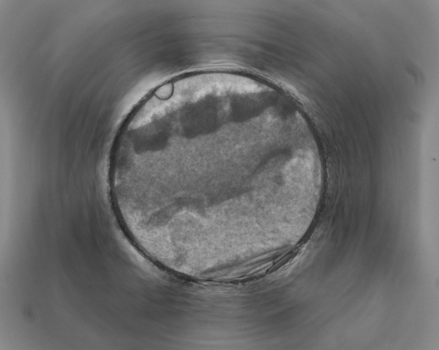 X0000112411422200909251447