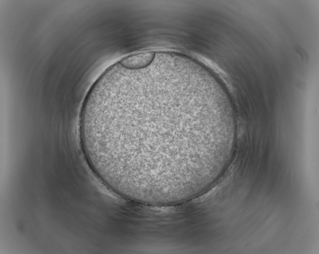 X0000112411423200909251447