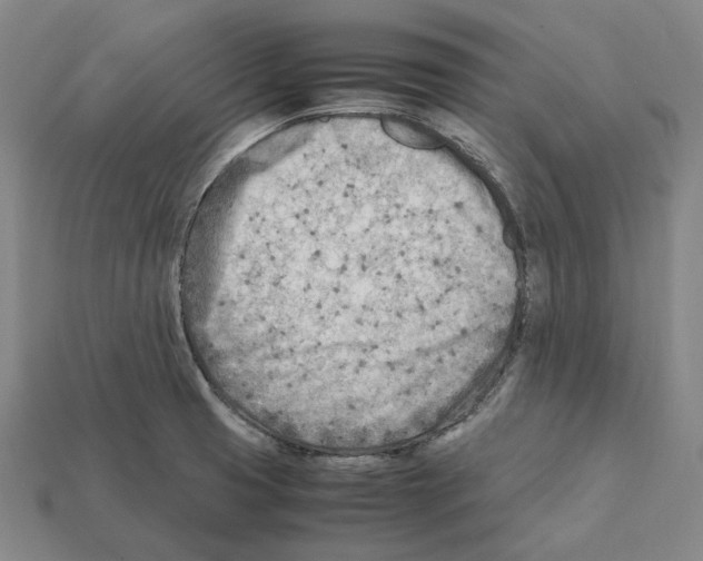 X0000112411425200909251447